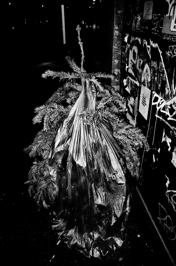 Sapin-12.jpg